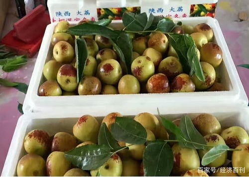 新冠肺炎疫情對(duì)水果價(jià)格的影響及應(yīng)對(duì)措施